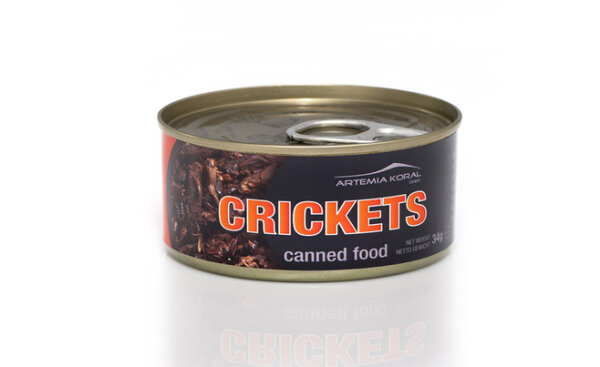 KONSERVIERTE GRILLEN KLEIN 35gr. Dose